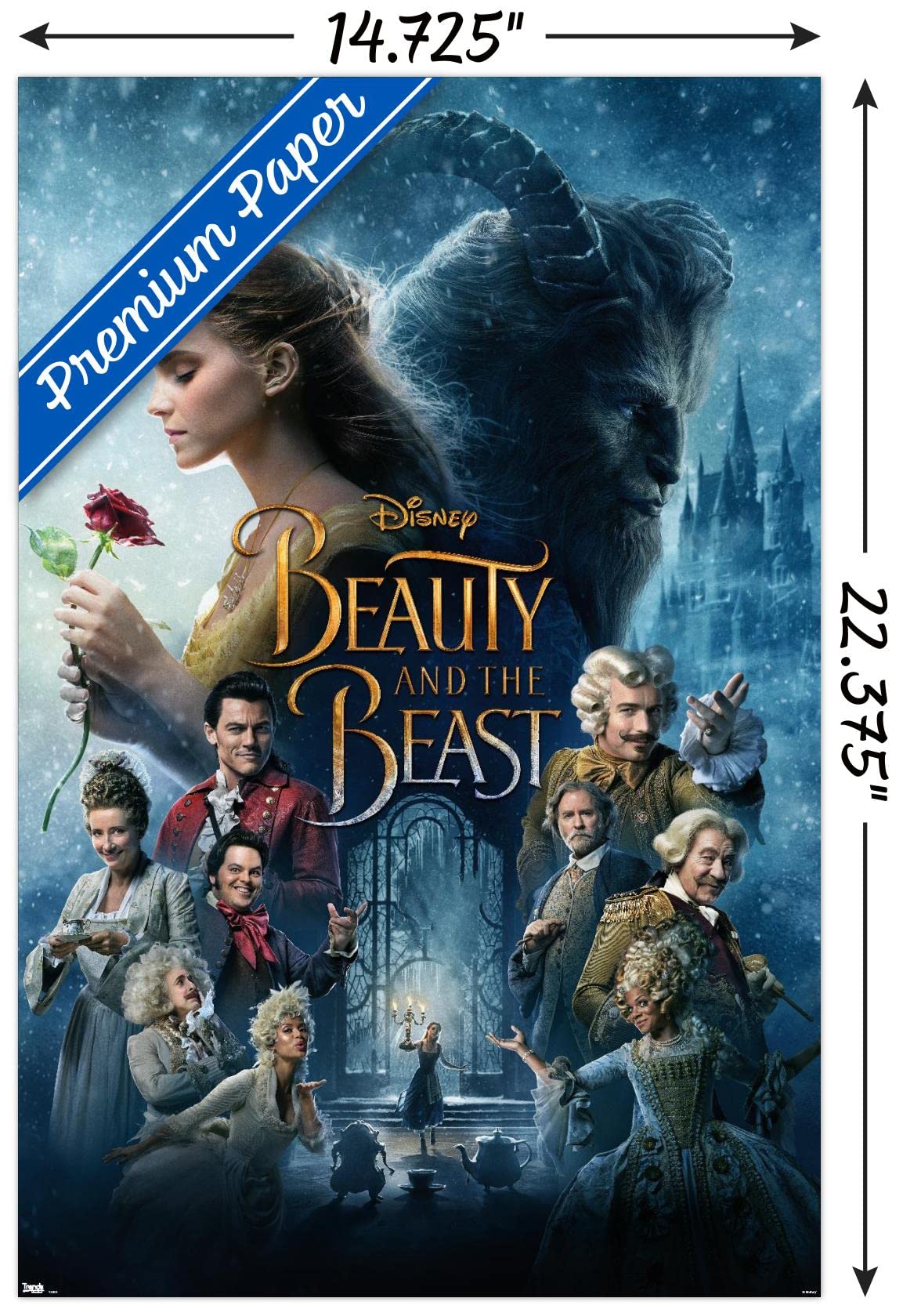 Disney Beauty and The Beast - One Sheet Wall Poster : Amazon.ca: Home